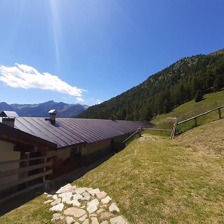 Restor Natura Malga Mondent Otel Pracorno di Rabbi Dış mekan fotoğraf