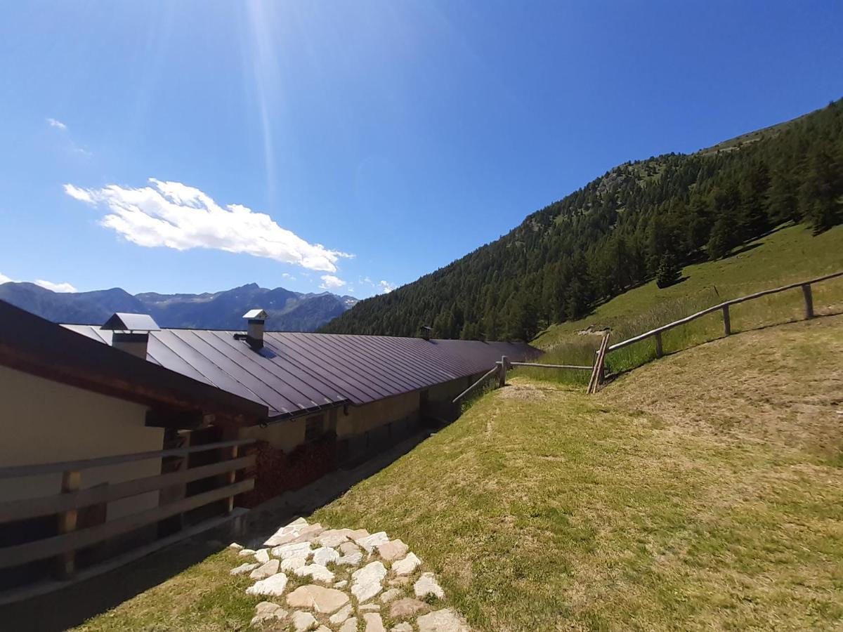 Restor Natura Malga Mondent Otel Pracorno di Rabbi Dış mekan fotoğraf