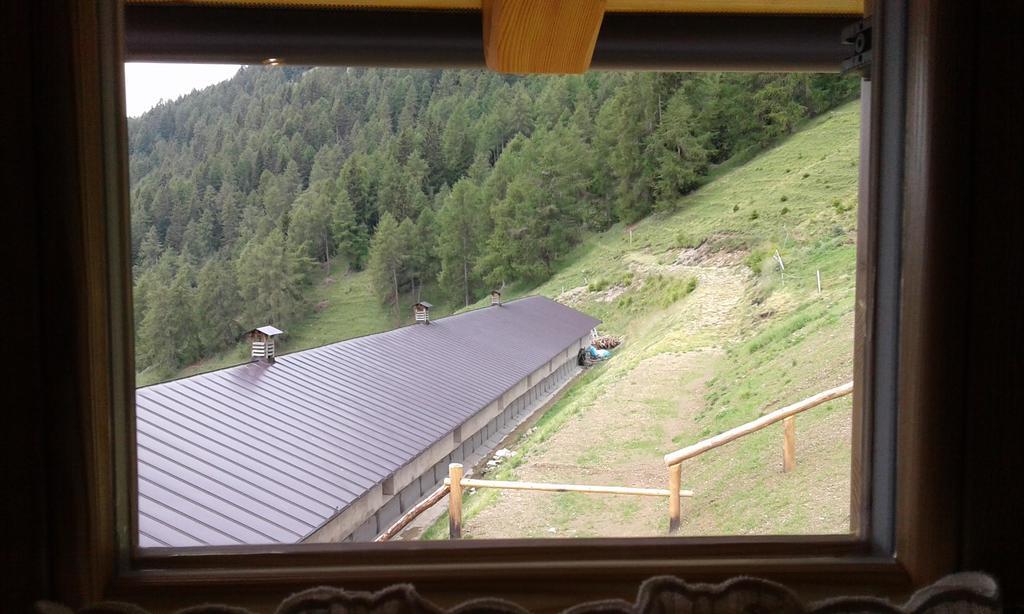 Restor Natura Malga Mondent Otel Pracorno di Rabbi Dış mekan fotoğraf