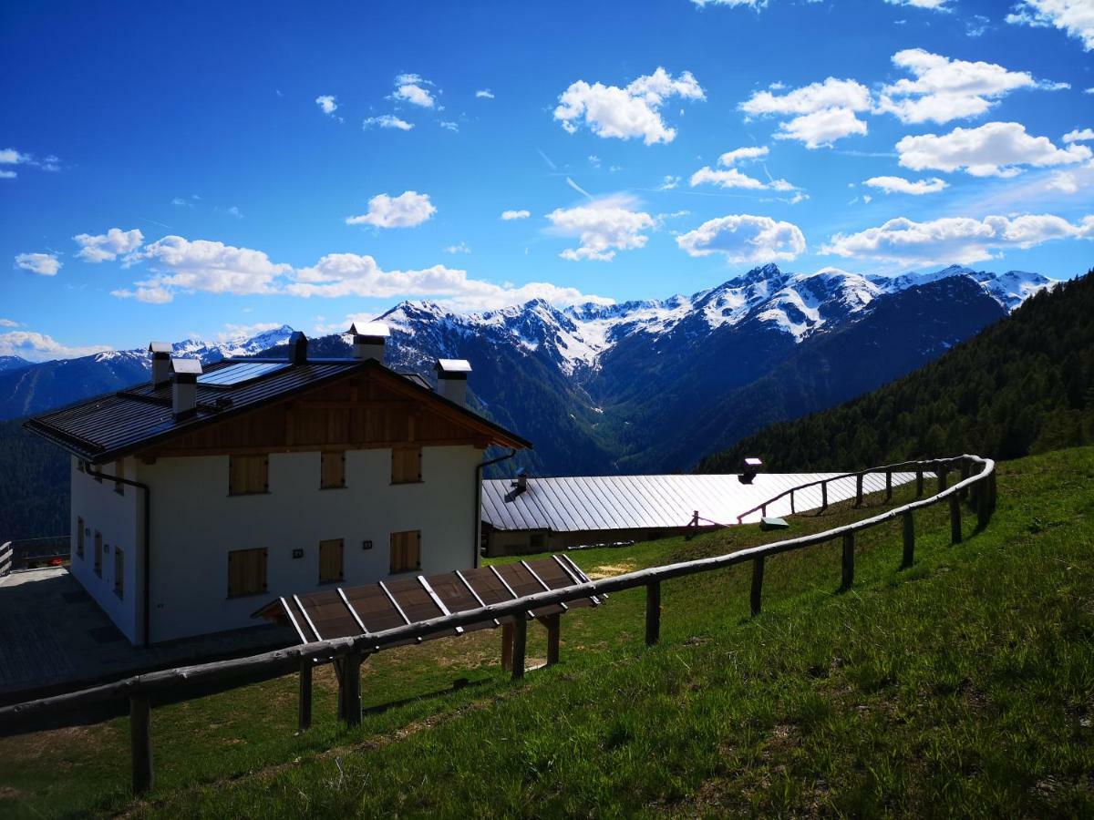 Restor Natura Malga Mondent Otel Pracorno di Rabbi Dış mekan fotoğraf