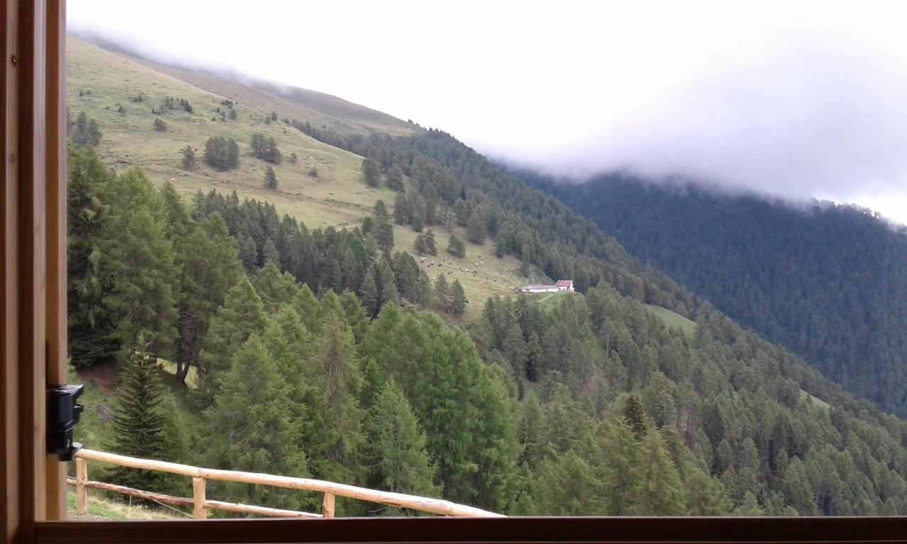 Restor Natura Malga Mondent Otel Pracorno di Rabbi Dış mekan fotoğraf